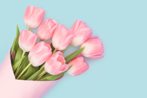 Baby Pink Tulips6341213320 300x200 - Baby Pink Tulips - Tulips, Rose, Pink, Baby